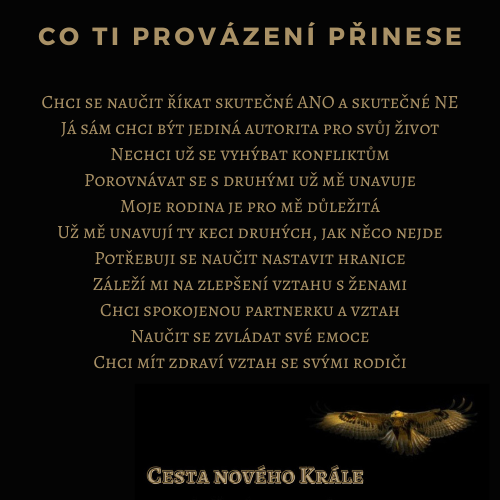 Petr Hořejší _ Provázení